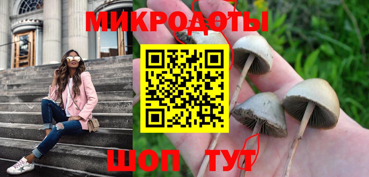 Псилоцибиновые грибы прущие грибы  Вход с VPN  Губкин 