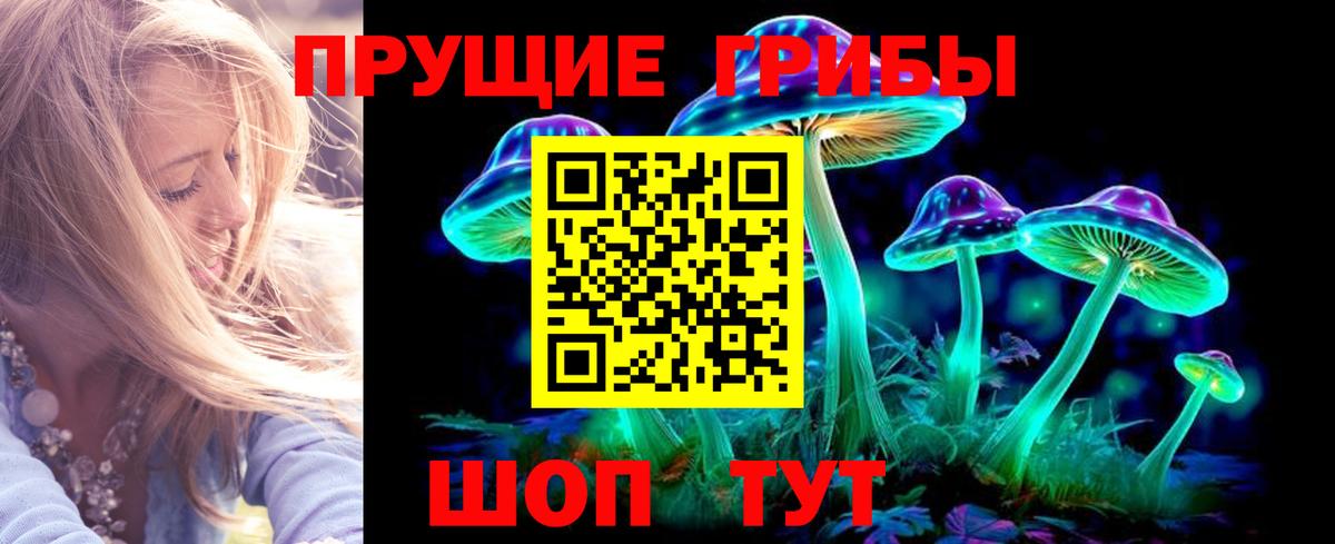 Псилоцибиновые грибы Magic Shrooms Губкин