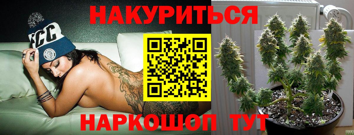 Марихуана сатива Губкин